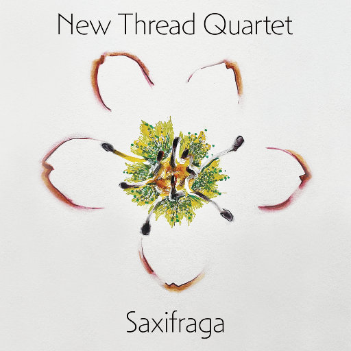 被灌满各种玩具C到失禁视频
